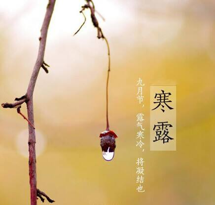 寒露至，秋意濃